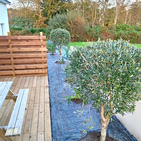 Bel'odet, Modernes Au Calme, Terrasses Pour Les T2, Grand Jardin Et Parking Gratuit, A 5 Min Des Plages De Benodet Clohars-Fouesnant